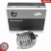 SteuergeräT Beleuchtung Esen SKV 59SKV287 FüR BMW 3Er G20 G80 G28 316 Mild 318