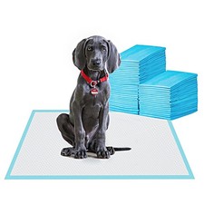 Large Pet Training and Puppy Pads Pee Pad for Dogs 24"x24"-80 Count Super Abs...
