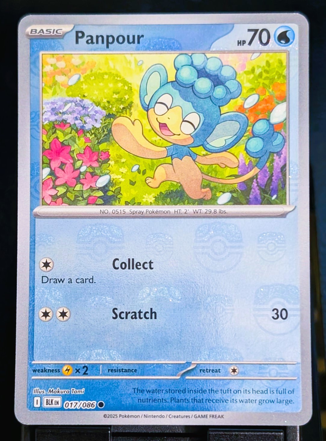 Pokémon TCG Panpour (Master Ball Foil) Black Bolt 017/086 NM