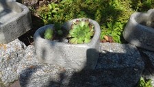 Betontrog Steintrog Granit Deko Garten Unikat ultraleicht Sukkulente Kaktus Herz