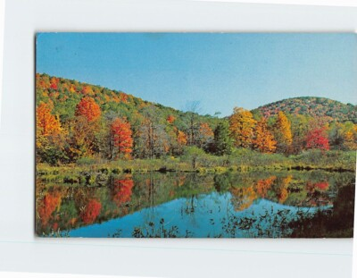 #ad Postcard Reflection in Beaver Dam Wisconsin $3.49