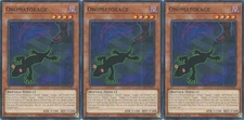 3x Onomatokage | DOOD-EN007 | Common | 1st Ed | NM | YuGiOh