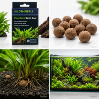 Dennerle Plant Care Basic Root 10 StüCk NäHrstoffkugeln