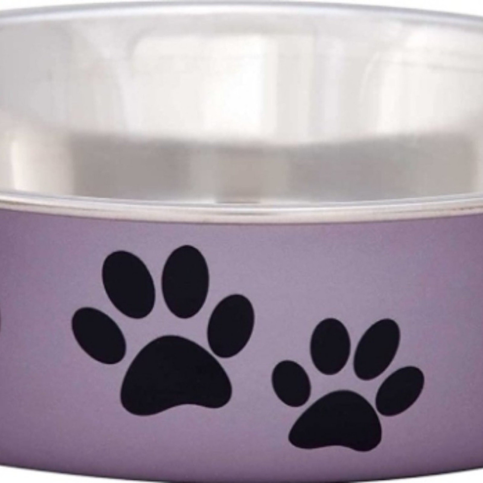 Water Bowl No Tip Stainless Steel Pet Bowl No Skid Spill