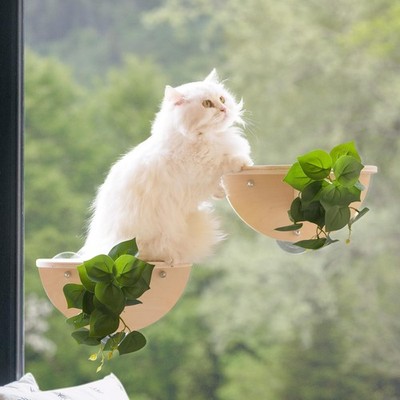 Meowoou 2PCS Cat Window Steps Shelf Suction Cups Climbing Stair Cats Perch Bed D