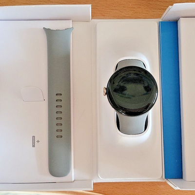 Google Pixel Watch 2 41mm Champagne Gold Case with Hazel