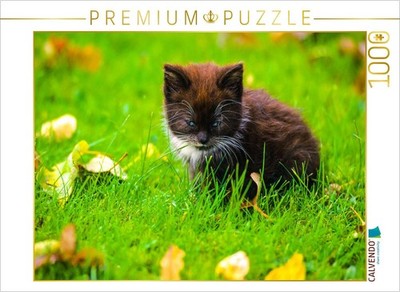 CALVENDO Puzzle Junges Kätzchen auf einer Wiese | 1000 Teile Lege-Größe 64x48cm