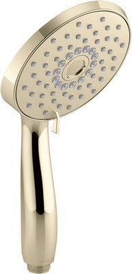 KOHLER 22165-G-AF Forte Handheld Showerhead 3 Spray Settings 1.75 GPM Vibrant
