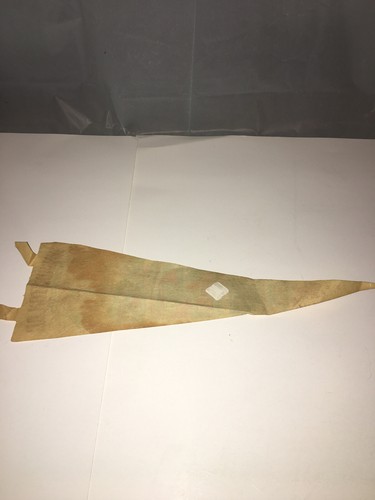 Verschiedene Vintage State Souvenir Filz 12"" bis 14"" Wimpelflaggen - Bild 8 von 17