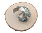 Bild 8 von 10