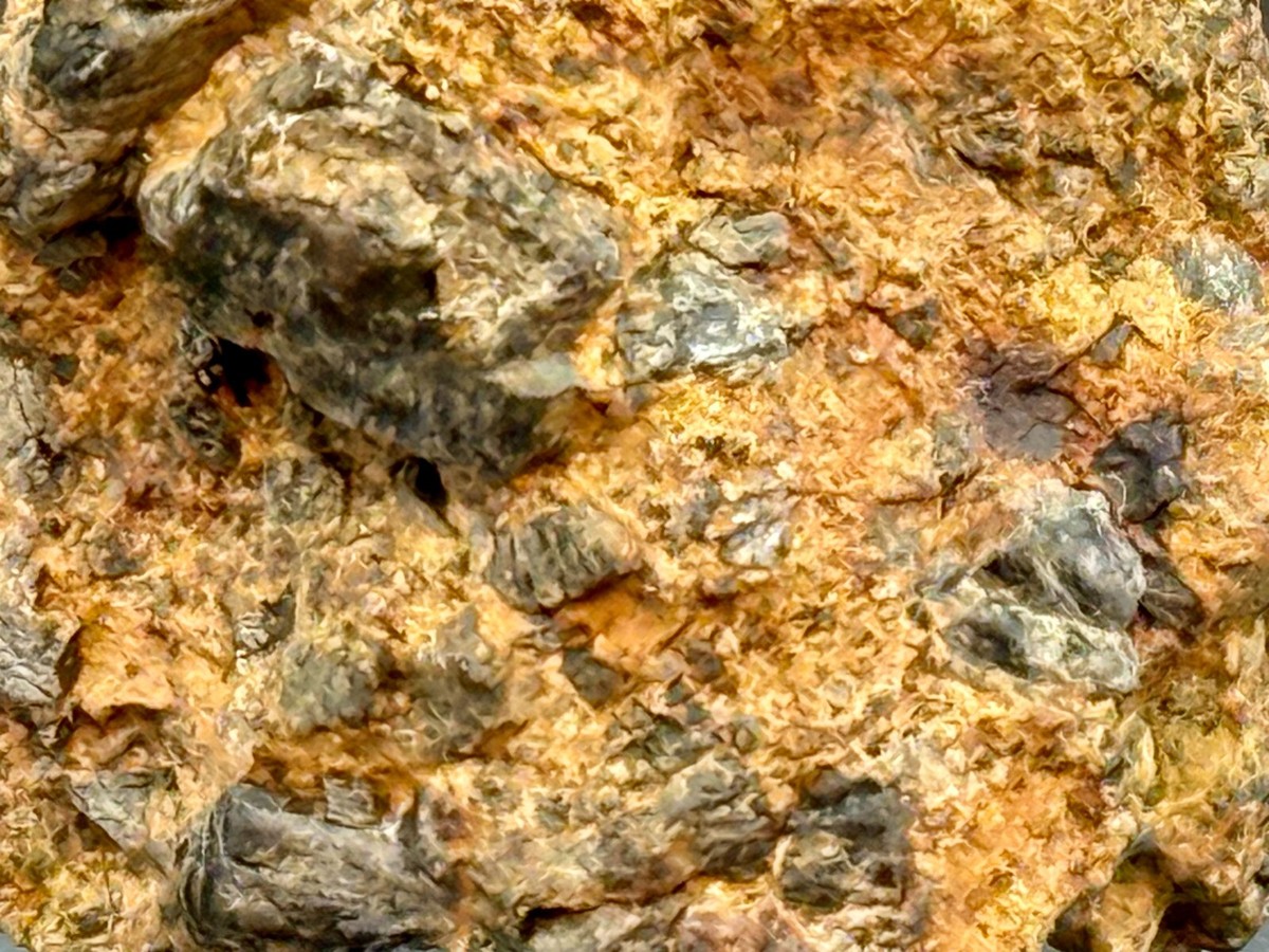 NWA 17059 (21.29 grams) Diogenite Meteorite Stone with small patch