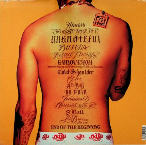 Central Cee – 23 LP (NEU 2023 gelbes Vinyl) UK Drill/Rap Hip Hop Trapstar X - Bild 3 von 4