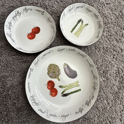 Maxwell & Williams Alfresco Pasta/Salad 1 Large 11  Serving & 2 Small Individual