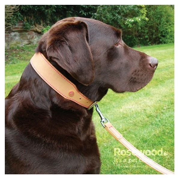 Rosewood Luxury Leather Dog Collar / Lead Puppy with Decorative Buttons & Charms - Image 4 of 4