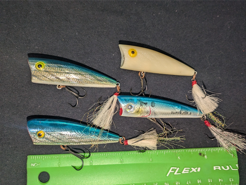 Soft Plastic Lures Leurre De Pêche Rebel Pop-R 1/4 Oz (7g) - Leurre