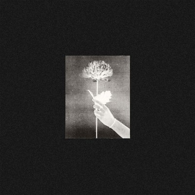 White Flowers Day By Day (Vinyl) 12'' Album