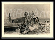 Photo WW2, 8th/Rgt. "Gen.Goering", Dunkirk, crashed plane, 1940, L314L