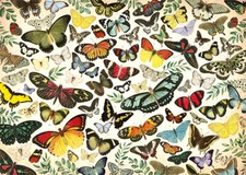 Puzzle Schmetterlings-Collage, 1000 Teile, Falter, Butterfly, Flügel, Jumbo
