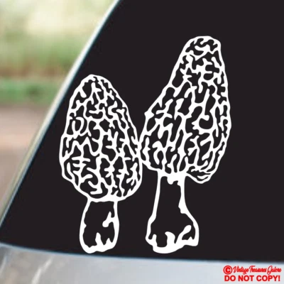 ORACAL MORCHELLA TRUE MOREL MUSHROOMS Vinyl Decal Sticker Car Truck Window Wall Bumper
