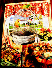SunsOut "Bird Cage" 300 Pieces Puzzle