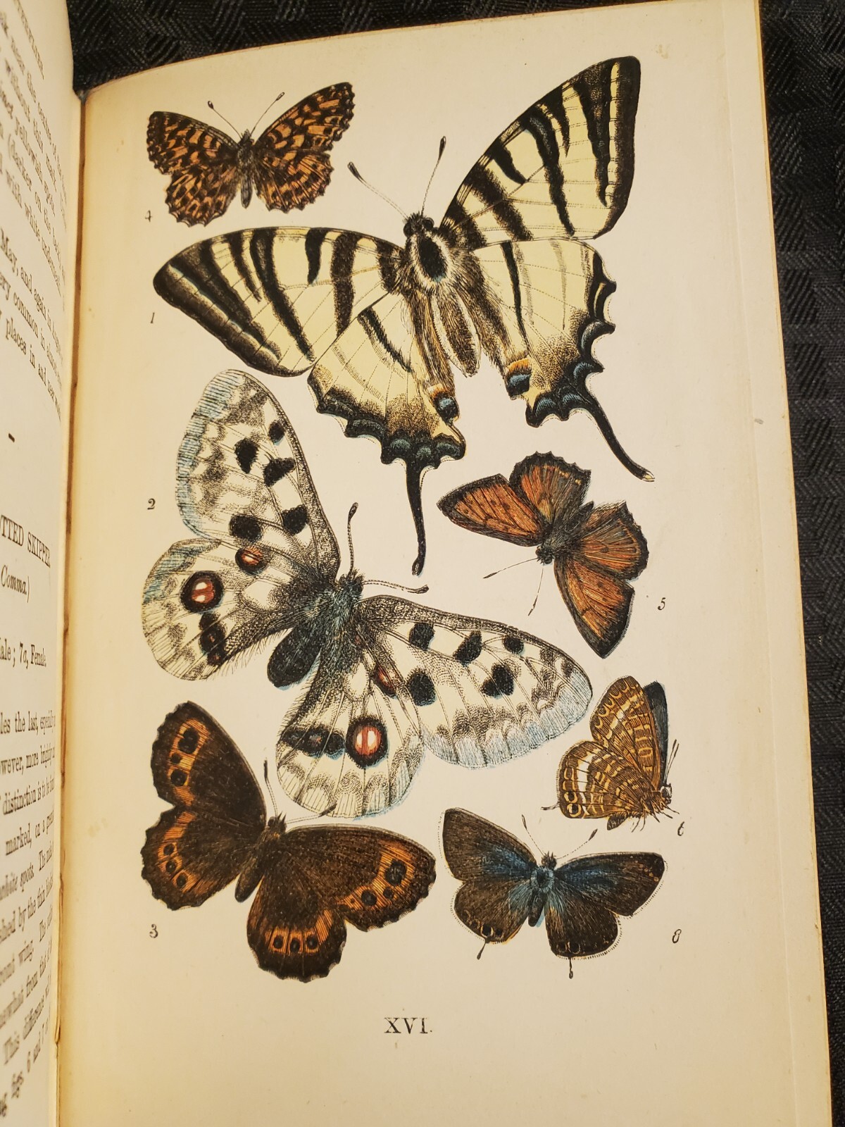 Picture 1 of 20