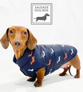 fleece for dachshund