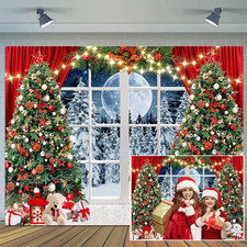 10X8Ft Christmas Window Backdrop for Photography Winter Xmas Tree Snow Gift New
