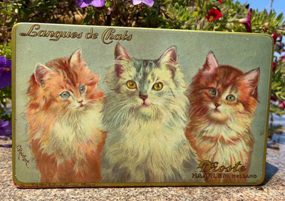 VTG Droste Haarlem Holland LANGUES DE CHATS 3 Cats Red Litho Trinket Tin Box CAT