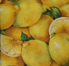 Feline Drive Fabric Farmer Johns Marketplace LEMONS - Fat Quarter 18x22" FQ