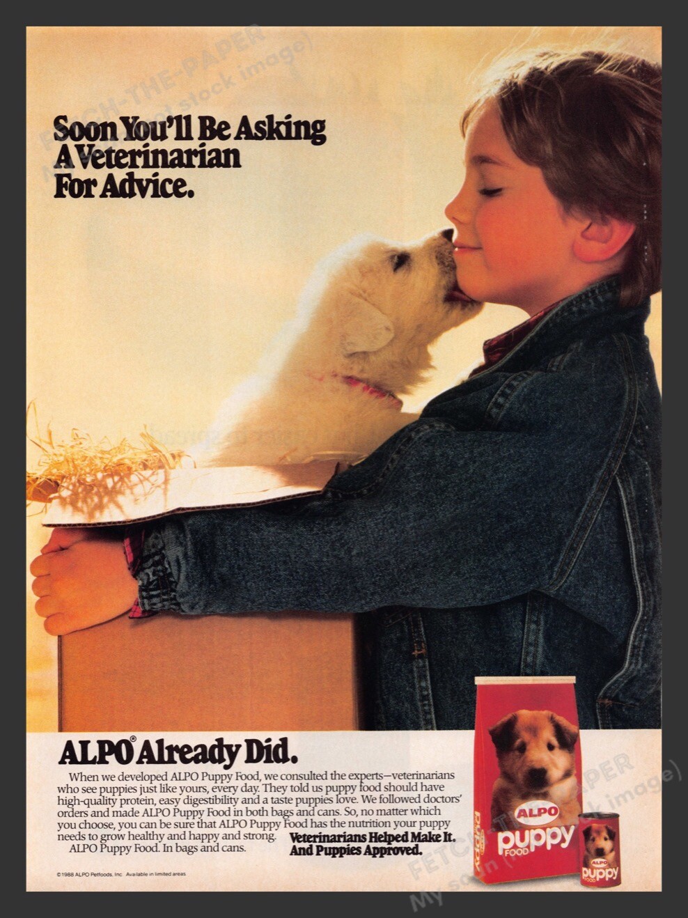 Lab Puppy? 1980s Print Advertisement Ad 1988