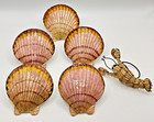 S/5 Dransfield & Ross Enamel Cloisonne Scallop Shell Napkin Rings + Lobster 2008