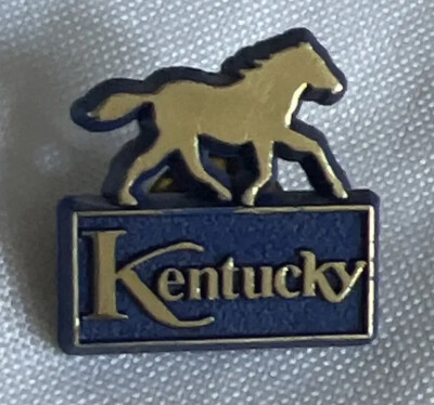 Vintage Pin ~ Kentucky Plastic Blue Horse Racing Country | eBay
