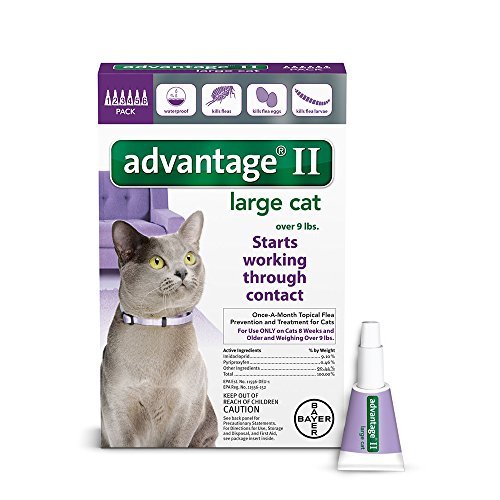 advantage flea and tick treatment for cats