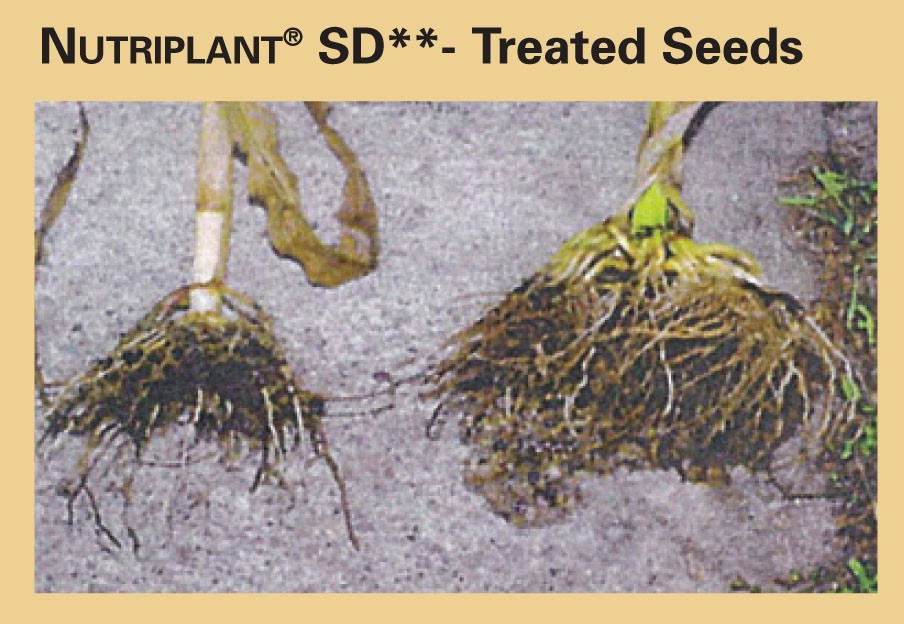 Micronutrient 25lb Nutriplant SD For Enhanced Root Growth & Crop Yields