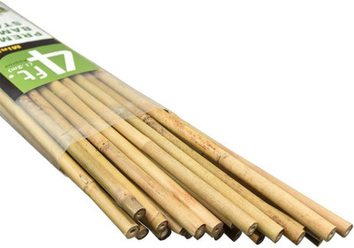 Natural Bamboo Stakes 4 Feet Garden Plant Support 25 Pack Eco Friendly Sticks XL