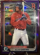 Topps 2024 Bowman Chrome Prospects Allan Castro Red Sox #BCP-14 /250 RC