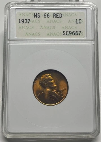 1937 Lincoln Wheat Cent / Penny 1c  MS66  RED ANACS Early Small Holder
