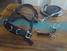 Logierhalfter Mit Longe Und Longierbrille VB