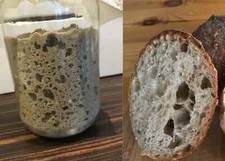 FRESH 100 % Rye Mature Sourdough Starter for all types of Sourdough Bread