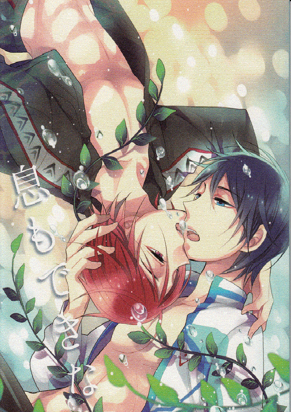 USED) Doujinshi - Free! (Iwatobi Swim Club) / Haruka x Rin (free