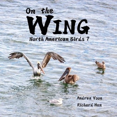 Andrea Voon On the Wing - North American Birds 7 (Taschenbuch) On the Wing