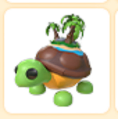 Tortuga De La Isla- Cheap & Trusted Store!!