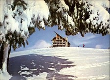 Hotel Clabucet-Plecare Predeal Romania vintage postcard q618