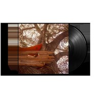 Backseat Lovers: Backseat Lovers - Waiting To Spill (180G) - Universal Music -