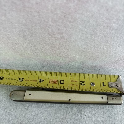 Vintage American Knife Co Folding Fruit Knife USA Slim Pocket Knife