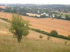 Photo 6x4 Harvested field at Mapledurham from Westford Hill Collins End  c2006