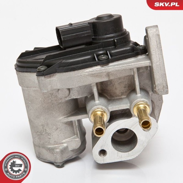 Esen SKV Agr-Ventil 14SKV086 FüR Audi Skoda VW-image