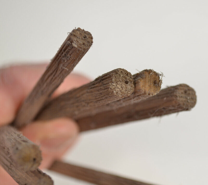 Picture 5 of 12