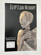 The Mummy Hair Strand Lock Relic Egypt Historic Egyptian Mini Museum History DNA