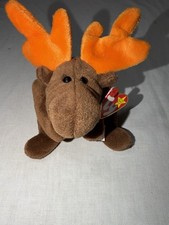 Ty Beanie Baby Moose “Chocolate”